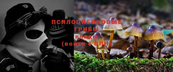 COCAINE Медногорск