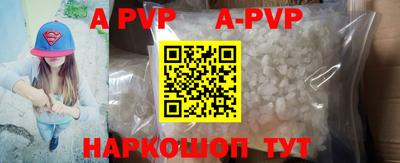 круглые Кингисепп