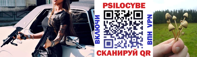 Галлюциногенные грибы GOLDEN TEACHER  Шебекино 