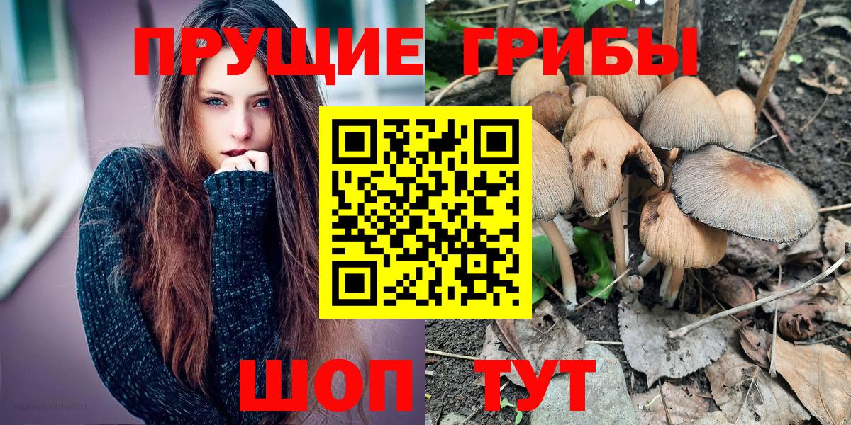 Псилоцибиновые грибы Psilocybe Шебекино